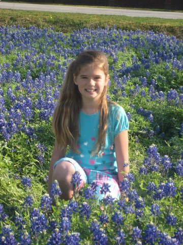 Bluebonnets2
